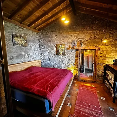 Casa De Arte Nordeste 빌라 *